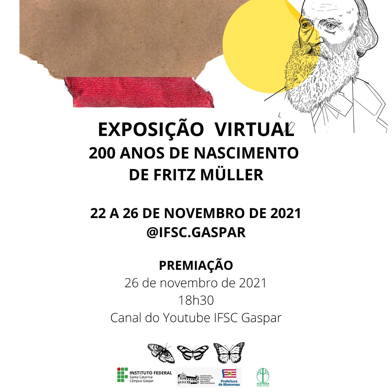 Imagens do concurso de ilustracoes