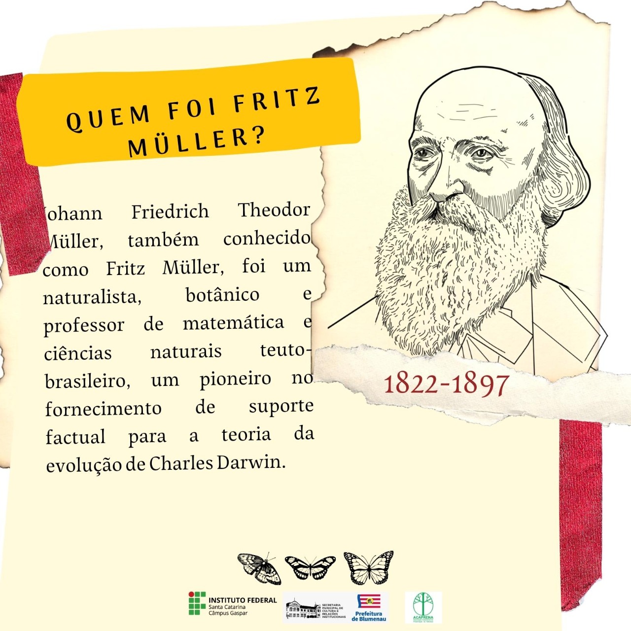 Imagens do concurso de ilustracoes