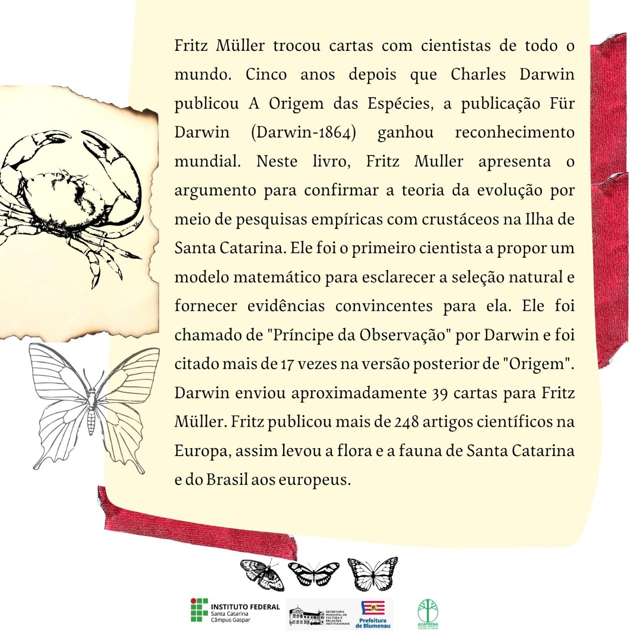 Imagens do concurso de ilustracoes