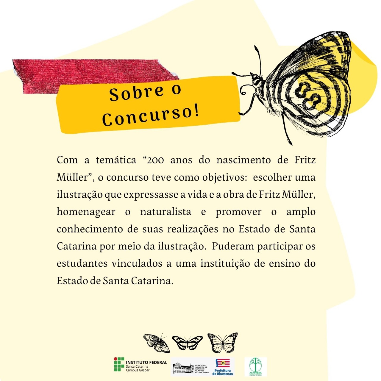 Imagens do concurso de ilustracoes