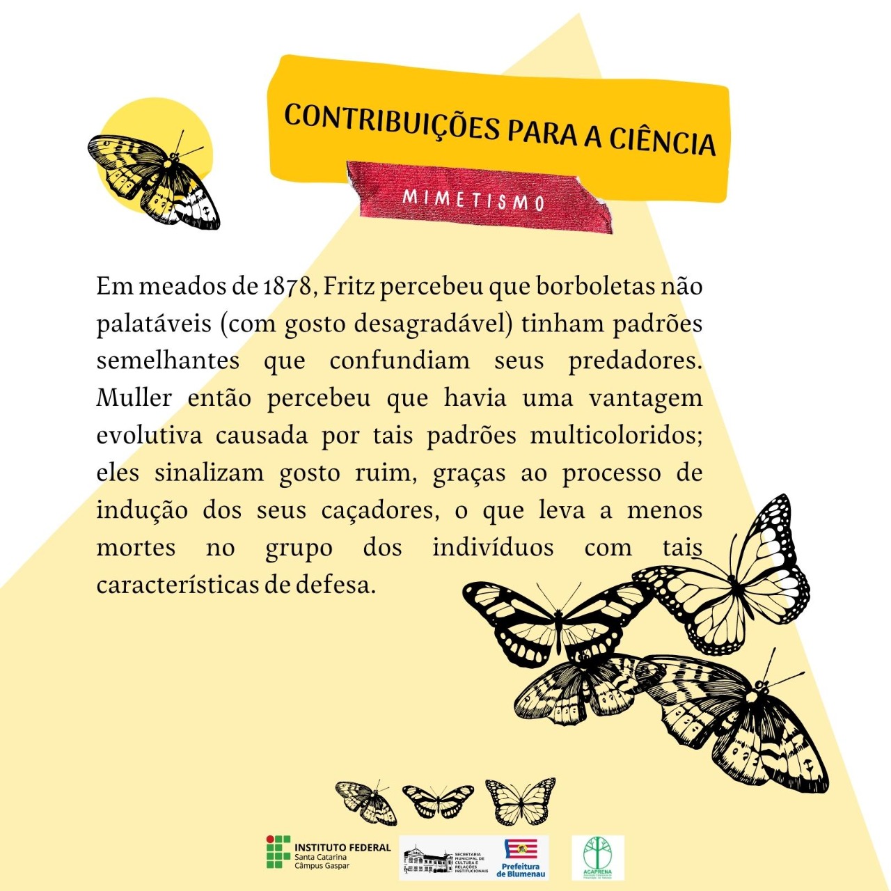 Imagens do concurso de ilustracoes