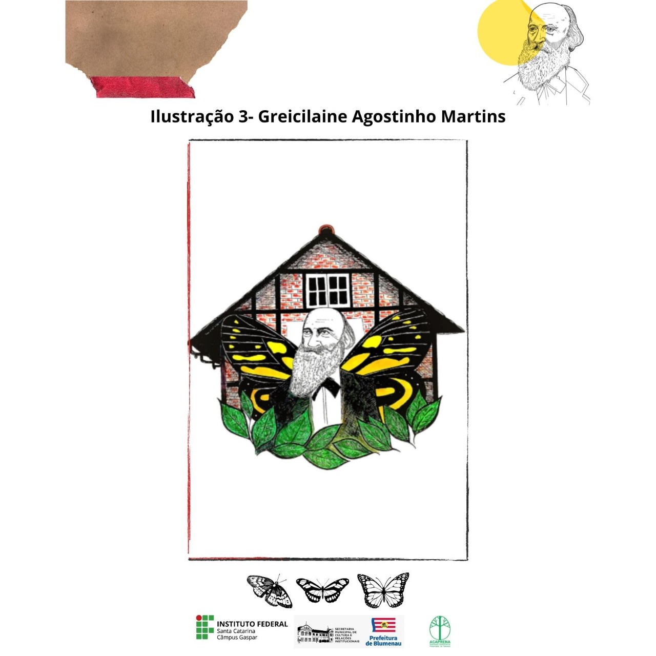 Imagens do concurso de ilustracoes