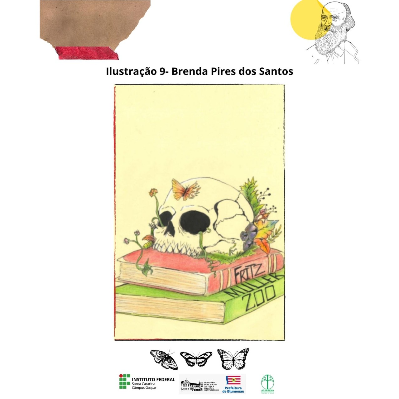 Imagens do concurso de ilustracoes